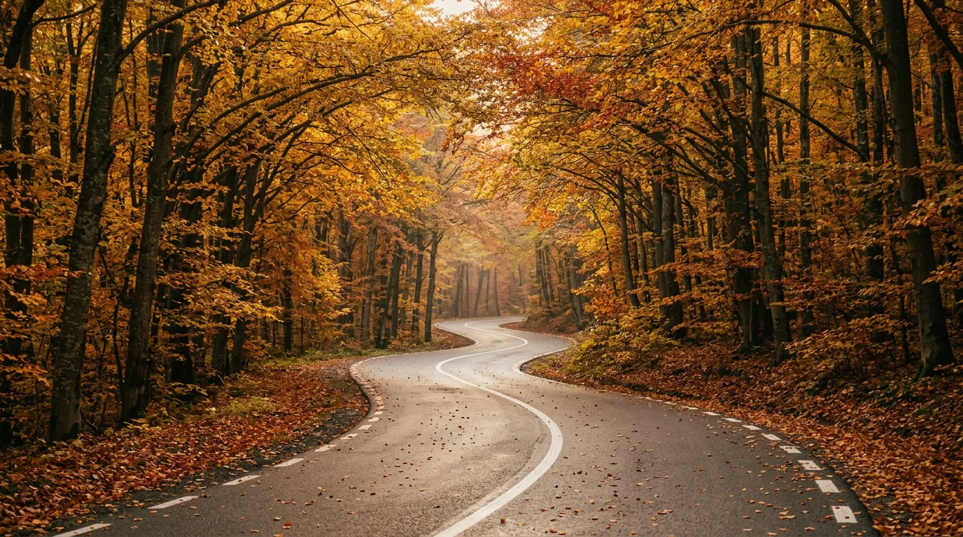 A winding two-lane road through dense Carpathian beech forest in autumn colors, golden and red leaves forming a canopy over the road, morning light filtering through the trees